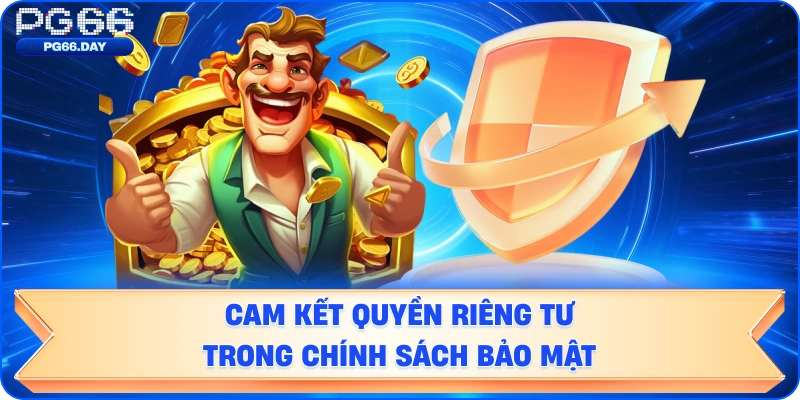 Cam kết quyền riêng tư trong chính sách bảo mật.