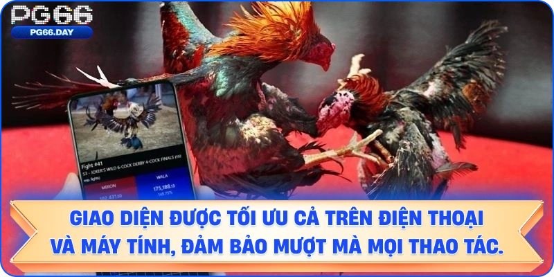 Giao diện được tối ưu cả trên điện thoại và máy tính, đảm bảo mượt mà mọi thao tác.