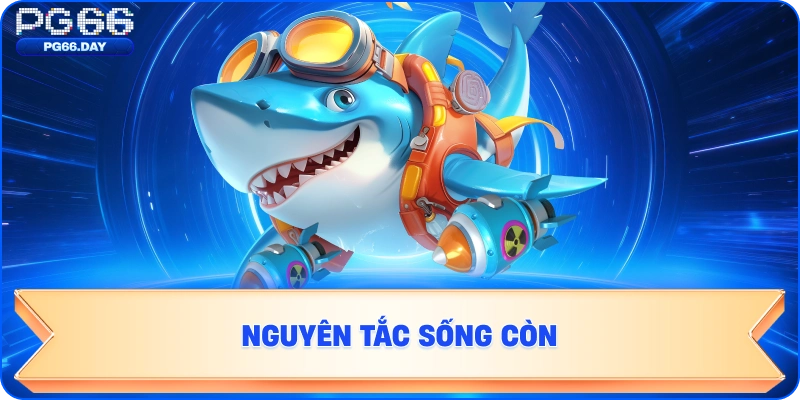 Nguyên Tắc Sống Còn